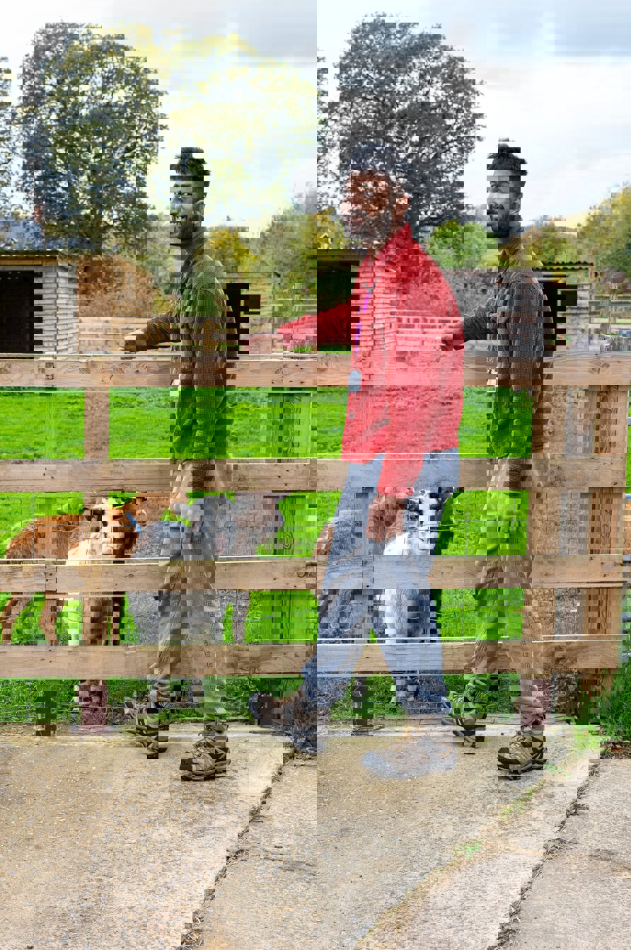 Man standing next to a field of goats